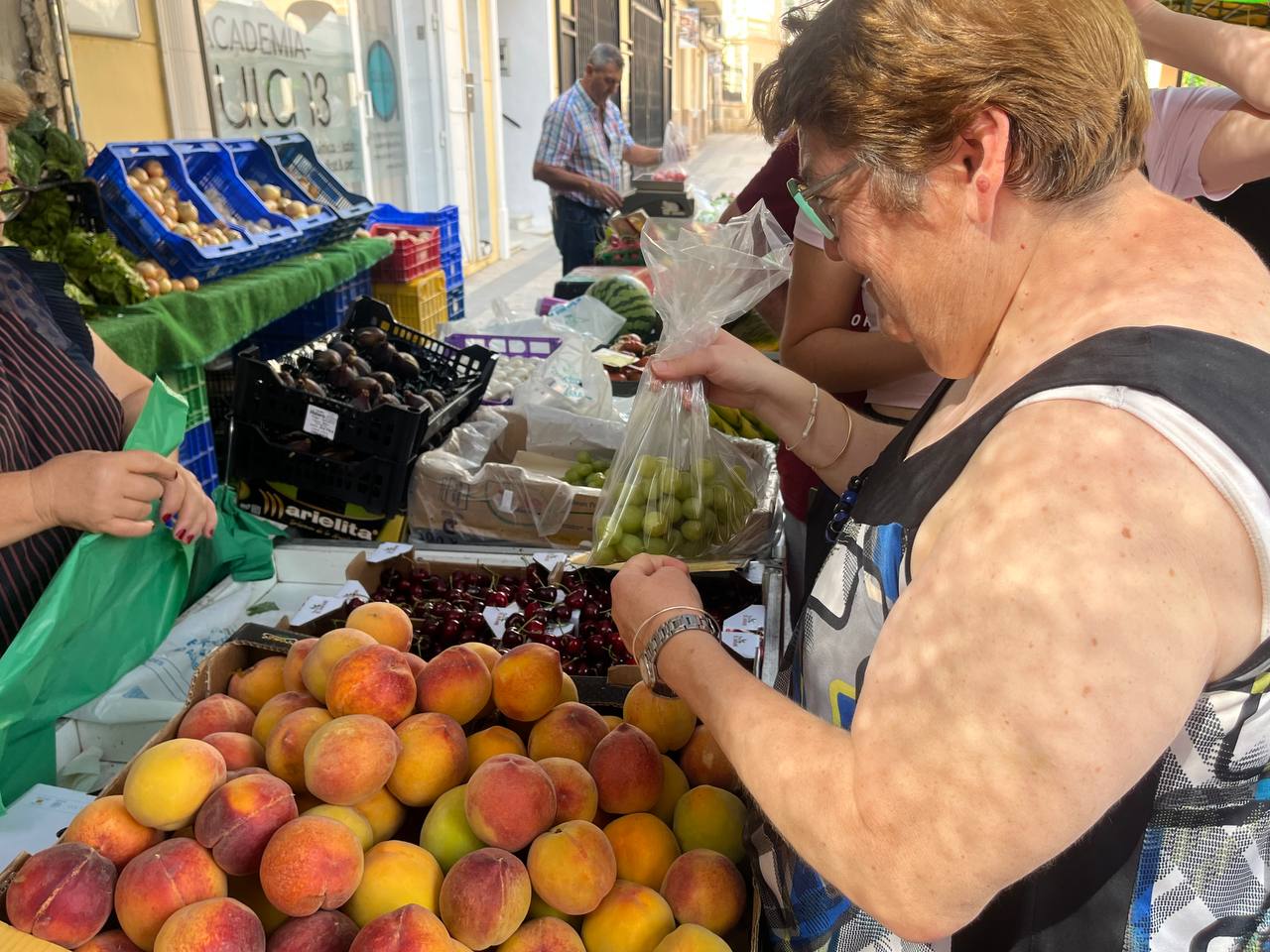 CENTRO DE DIA PREPARACION MACEDONIA 10 DE JUNIO DE 2025 (6)